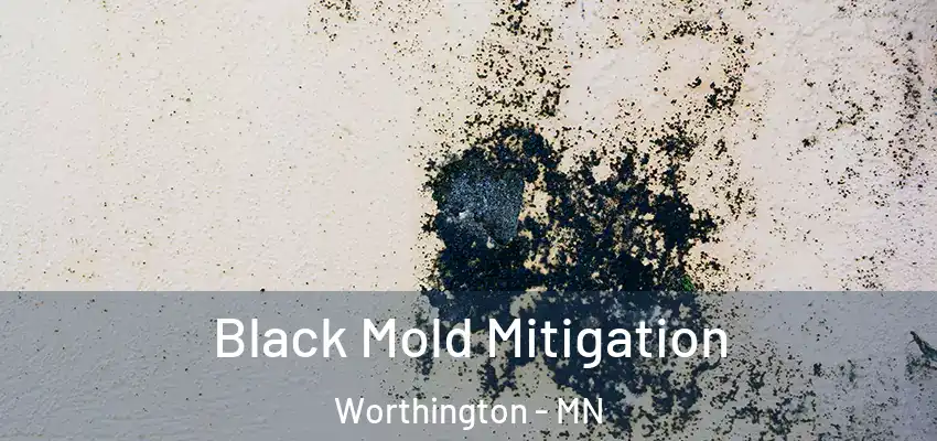 Black Mold Mitigation Worthington - MN