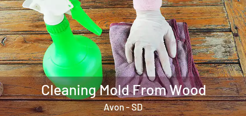 Cleaning Mold From Wood Avon - SD