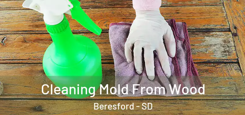  Cleaning Mold From Wood Beresford - SD