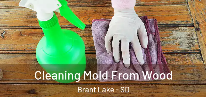 Cleaning Mold From Wood Brant Lake - SD