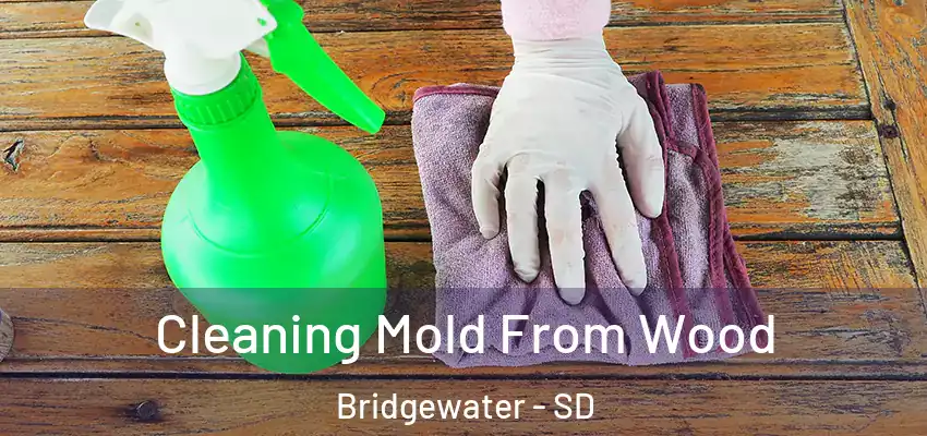  Cleaning Mold From Wood Bridgewater - SD