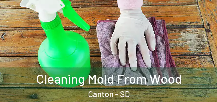 Cleaning Mold From Wood Canton - SD