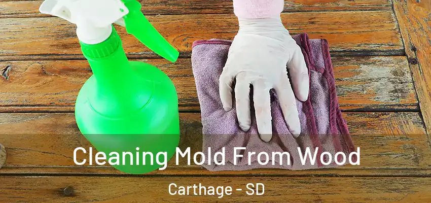  Cleaning Mold From Wood Carthage - SD