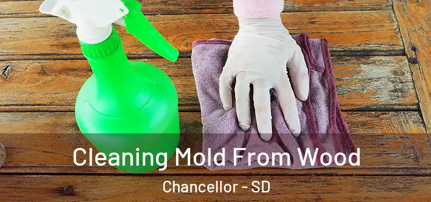  Cleaning Mold From Wood Chancellor - SD