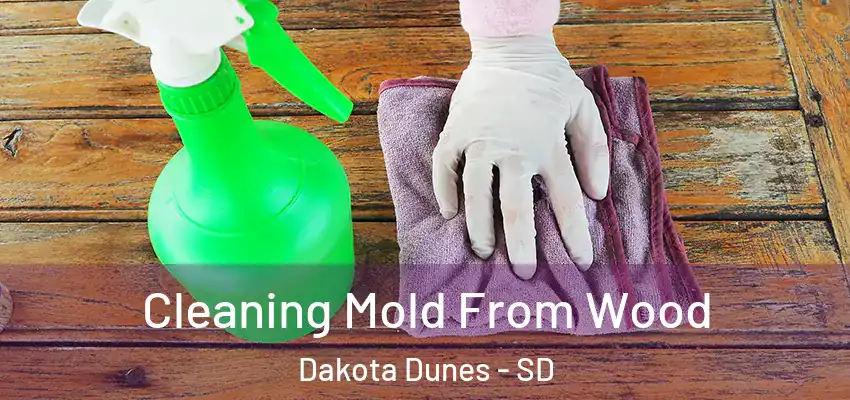 Cleaning Mold From Wood Dakota Dunes - SD