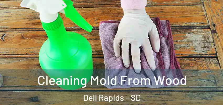  Cleaning Mold From Wood Dell Rapids - SD