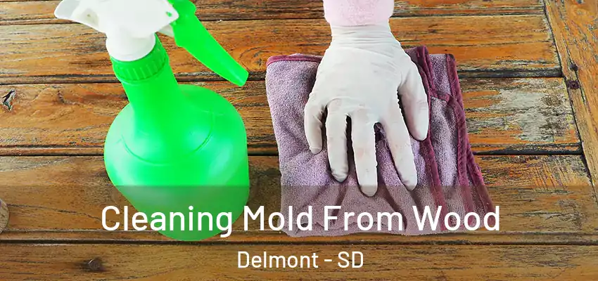  Cleaning Mold From Wood Delmont - SD