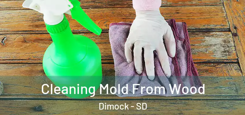  Cleaning Mold From Wood Dimock - SD