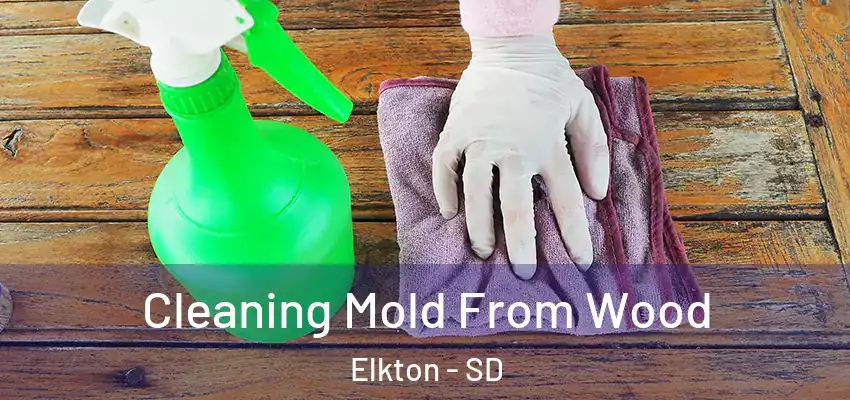  Cleaning Mold From Wood Elkton - SD