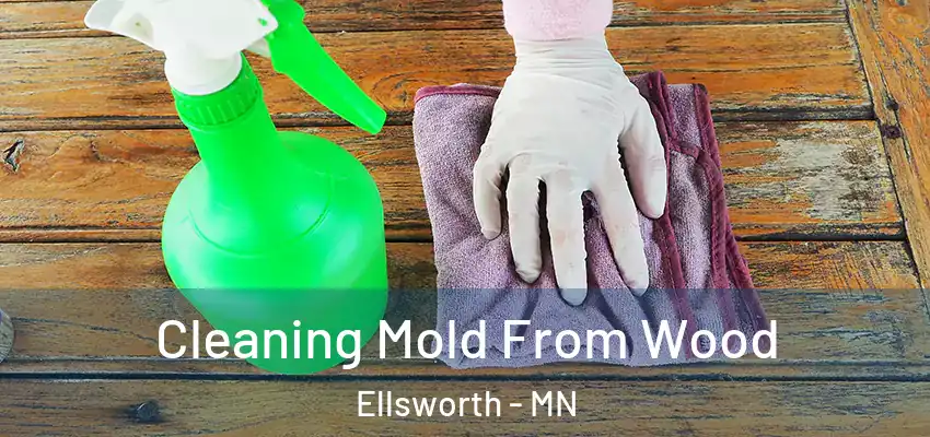  Cleaning Mold From Wood Ellsworth - MN