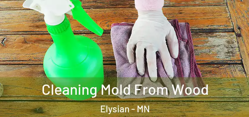 Cleaning Mold From Wood Elysian - MN