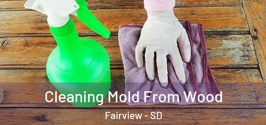 Cleaning Mold From Wood Fairview - SD