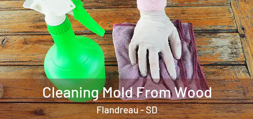  Cleaning Mold From Wood Flandreau - SD