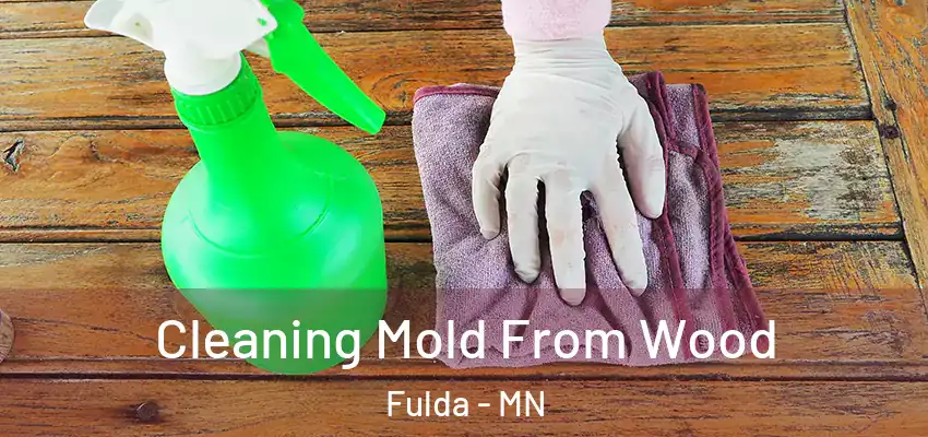 Cleaning Mold From Wood Fulda - MN