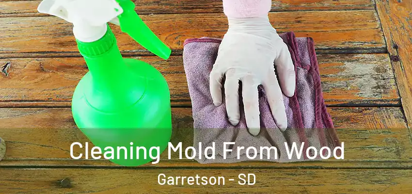 Cleaning Mold From Wood Garretson - SD