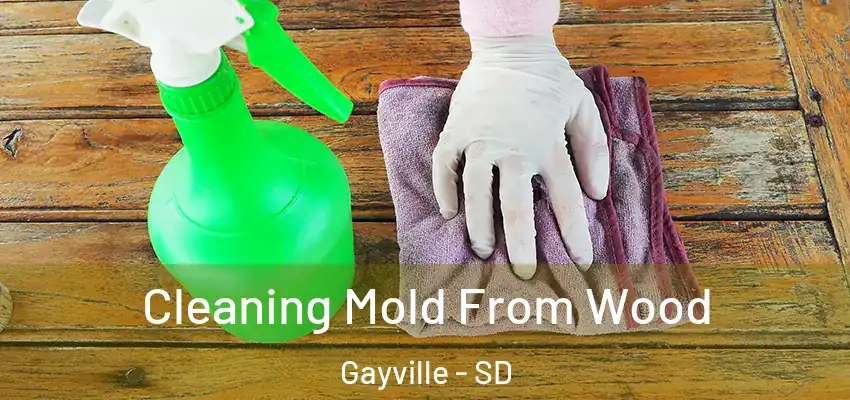  Cleaning Mold From Wood Gayville - SD