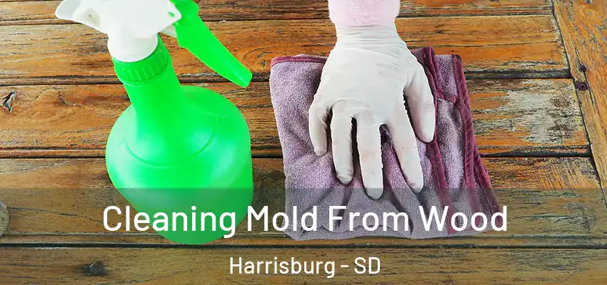 Cleaning Mold From Wood Harrisburg - SD