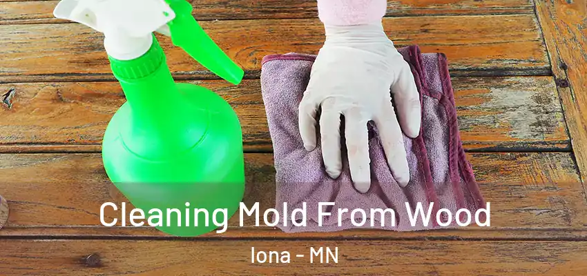 Cleaning Mold From Wood Iona - MN