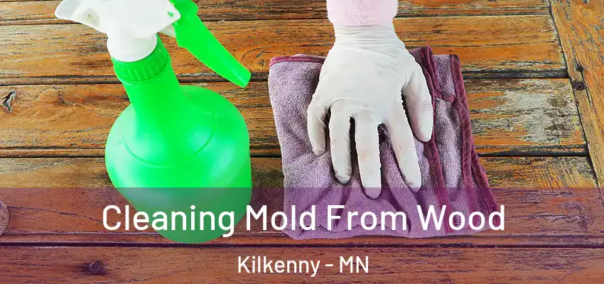 Cleaning Mold From Wood Kilkenny - MN