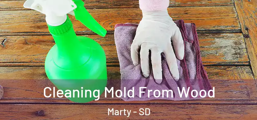  Cleaning Mold From Wood Marty - SD