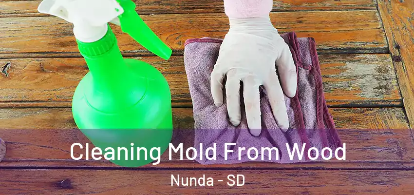 Cleaning Mold From Wood Nunda - SD