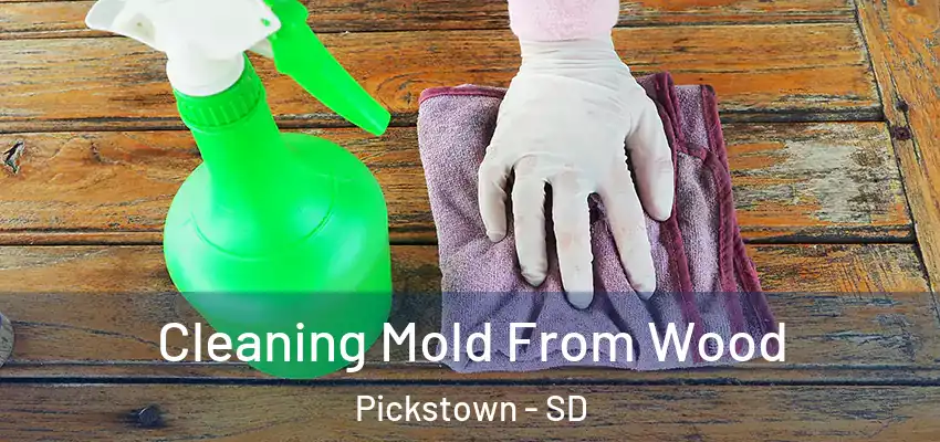 Cleaning Mold From Wood Pickstown - SD