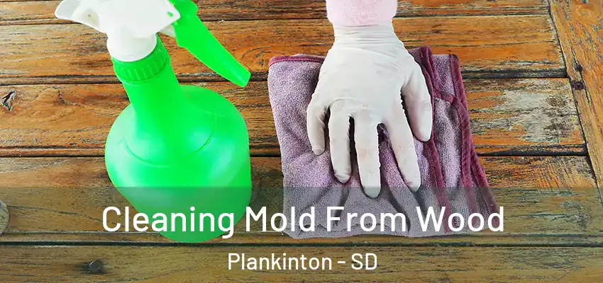 Cleaning Mold From Wood Plankinton - SD