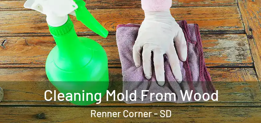 Cleaning Mold From Wood Renner Corner - SD
