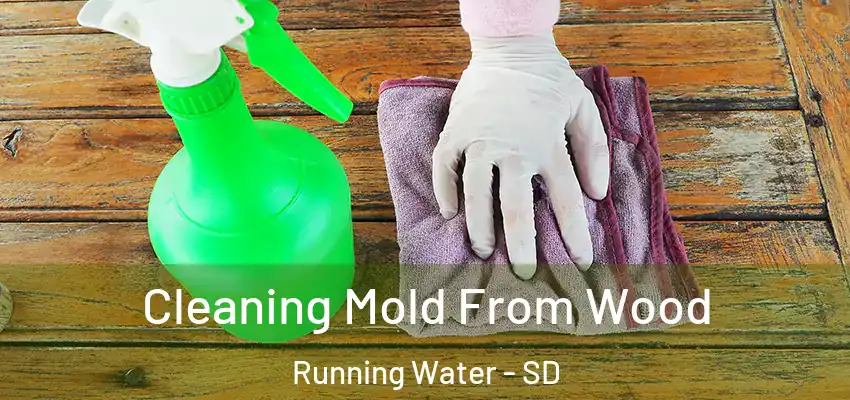 Cleaning Mold From Wood Running Water - SD