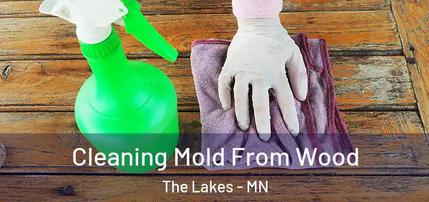  Cleaning Mold From Wood The Lakes - MN