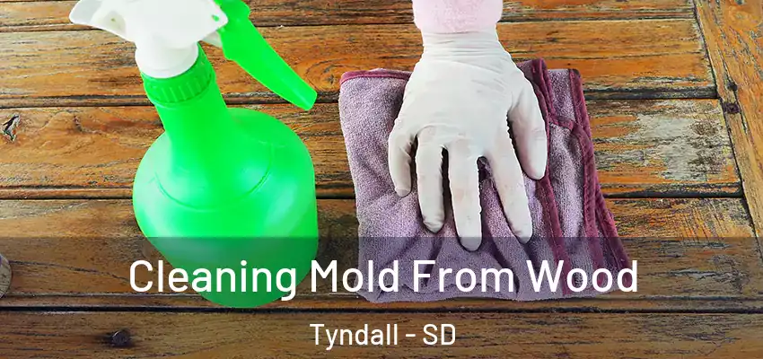  Cleaning Mold From Wood Tyndall - SD