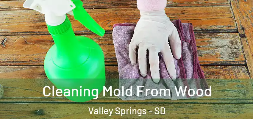  Cleaning Mold From Wood Valley Springs - SD