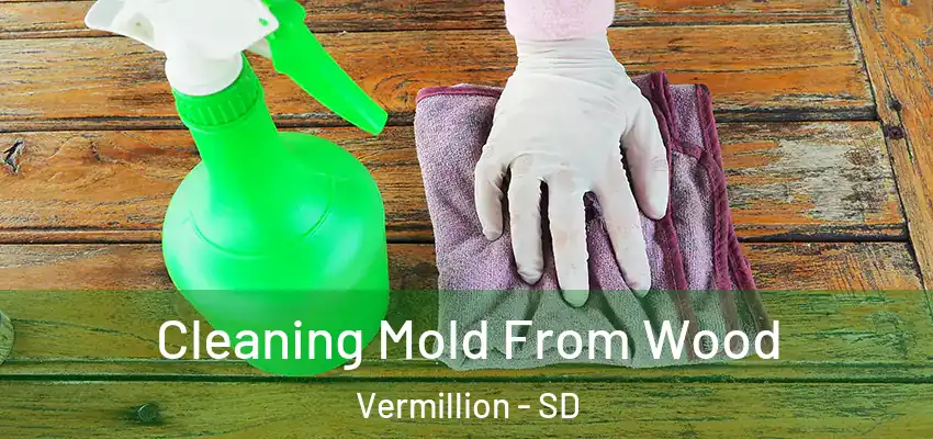Cleaning Mold From Wood Vermillion - SD
