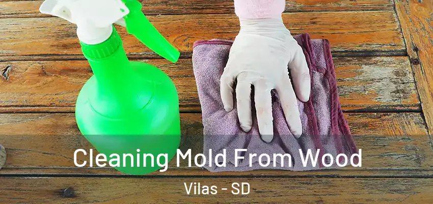 Cleaning Mold From Wood Vilas - SD