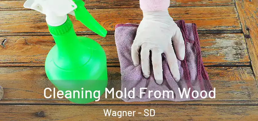 Cleaning Mold From Wood Wagner - SD