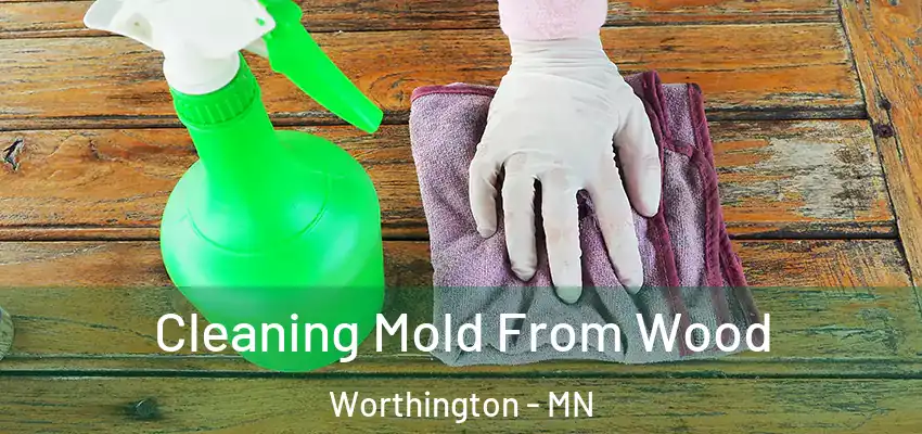  Cleaning Mold From Wood Worthington - MN