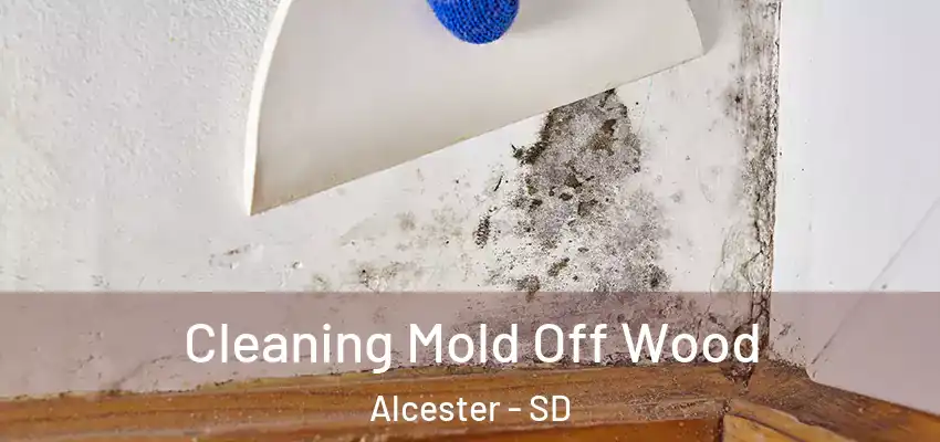  Cleaning Mold Off Wood Alcester - SD