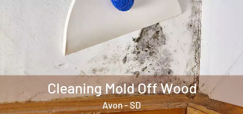Cleaning Mold Off Wood Avon - SD