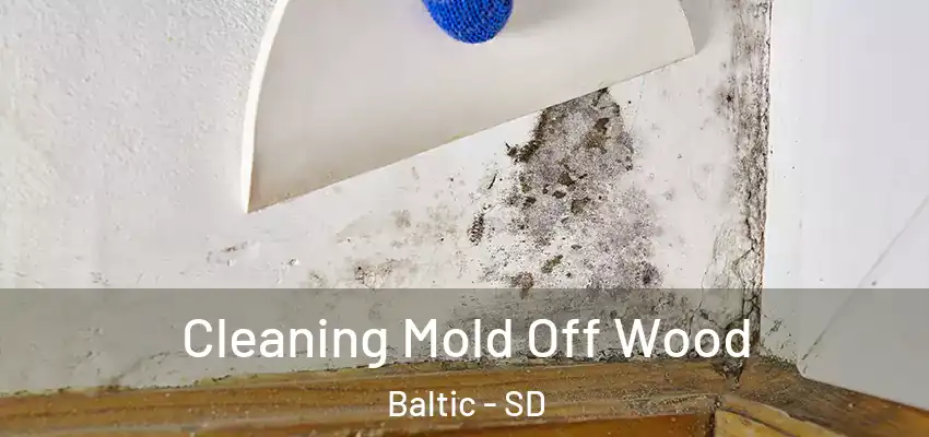  Cleaning Mold Off Wood Baltic - SD