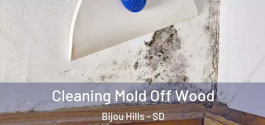  Cleaning Mold Off Wood Bijou Hills - SD