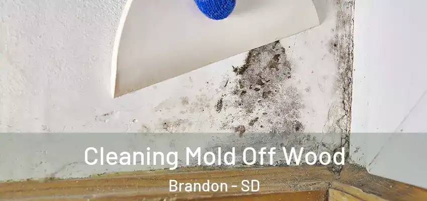 Cleaning Mold Off Wood Brandon - SD