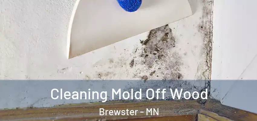  Cleaning Mold Off Wood Brewster - MN