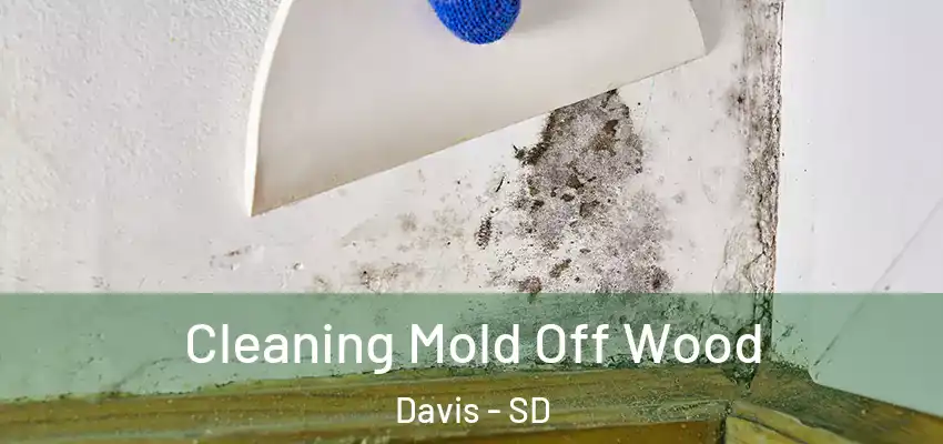  Cleaning Mold Off Wood Davis - SD
