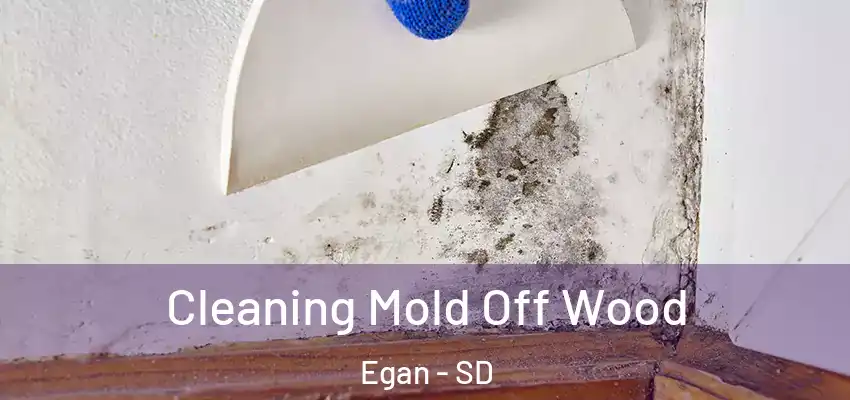 Cleaning Mold Off Wood Egan - SD