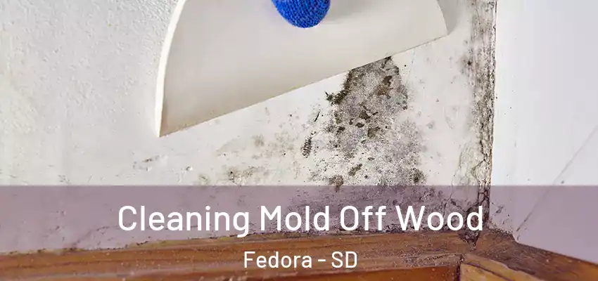  Cleaning Mold Off Wood Fedora - SD