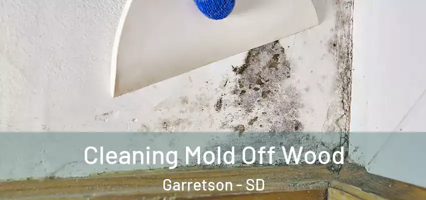 Cleaning Mold Off Wood Garretson - SD