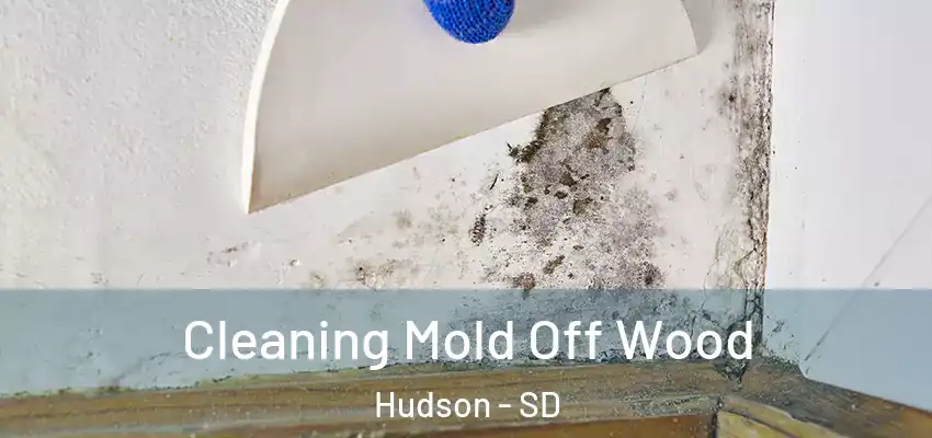 Cleaning Mold Off Wood Hudson - SD