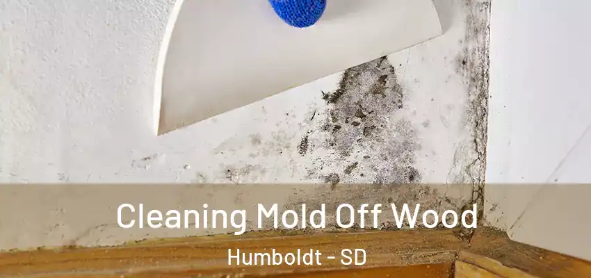 Cleaning Mold Off Wood Humboldt - SD