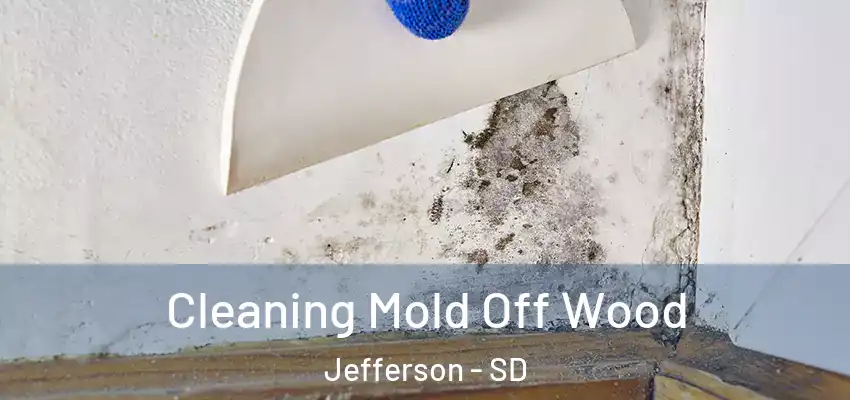  Cleaning Mold Off Wood Jefferson - SD
