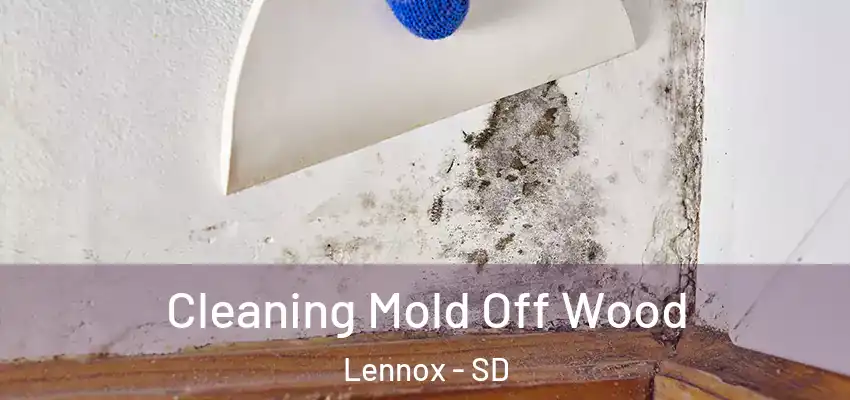  Cleaning Mold Off Wood Lennox - SD